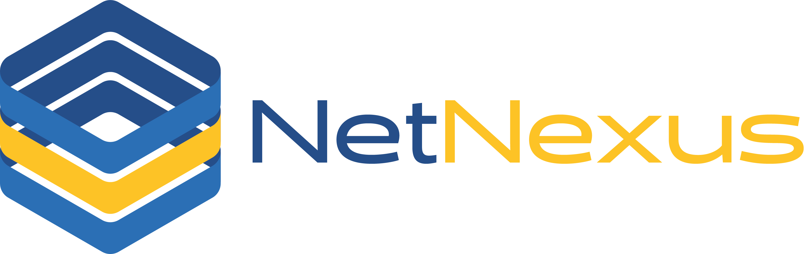 NetNexus Logo